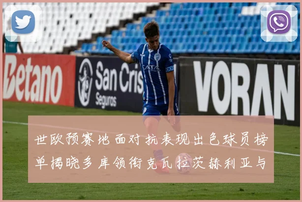 世欧预赛地面对抗表现出色球员榜单揭晓多库领衔克瓦拉茨赫利亚与布拉德利紧随其后